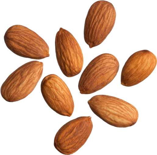 Roasted Salted Almond (170g) - Snack Amor