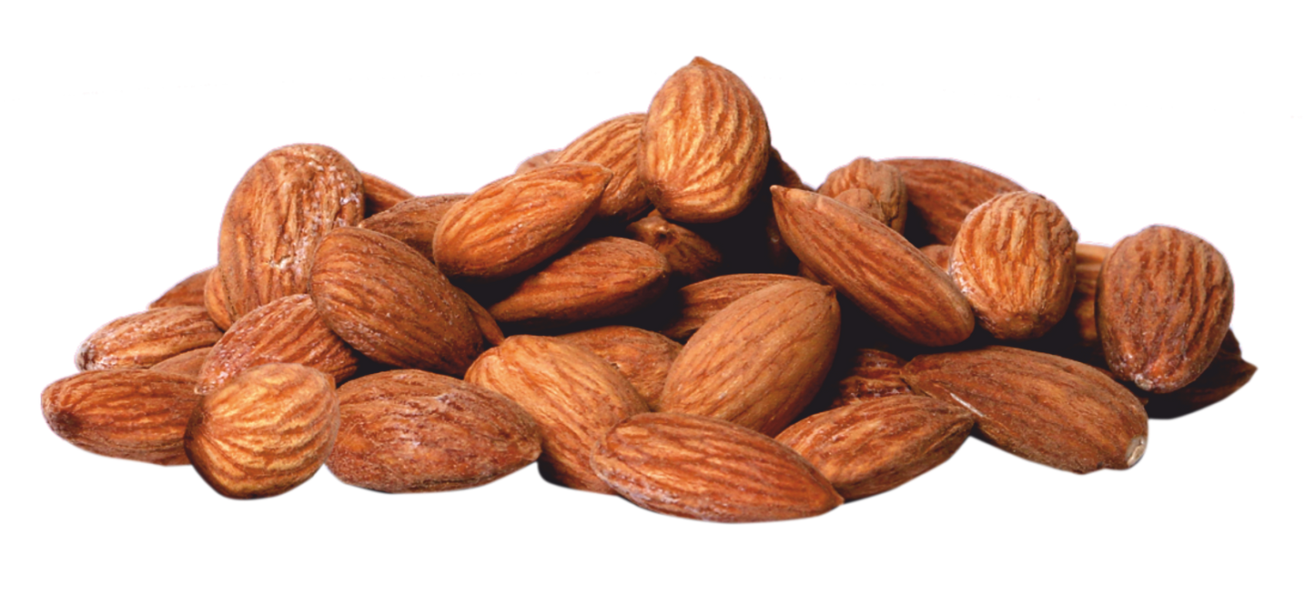 Roasted Salted Almond (170g) - Snack Amor