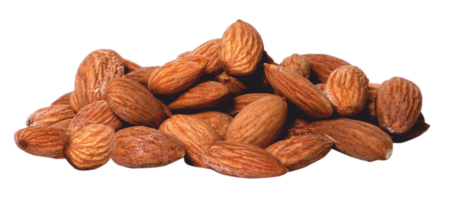 Roasted Salted Almond (170g) - Snack Amor